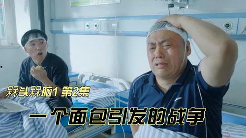 槑头槑脑1免费观看,笑料横生，欢乐无限！