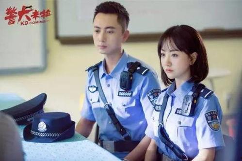 警犬来啦46集免费观看,揭秘警犬训练与实战背后的感人故事