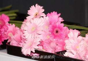 明星送花图片,花语传情暖人心