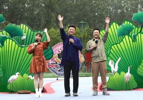 新宇星城爆料最新消息视频,揭秘神秘视频背后的惊人真相