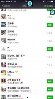 吃网红瓜的软件叫什么名字,揭秘热门吃瓜软件背后的故事