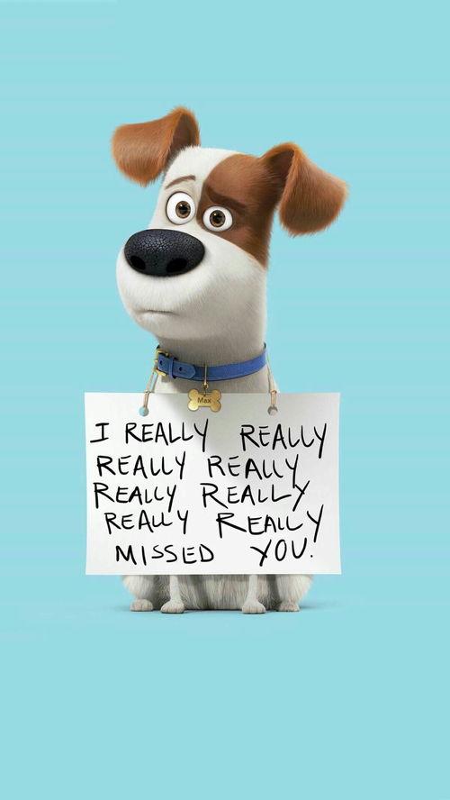 爱宠大机密手机免费观看,萌宠冒险之旅等你开启！