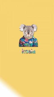 考拉视频下载,考拉视频轻松保存精彩瞬间