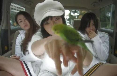 推荐强暴类av番,揭秘强暴AV的黑暗面