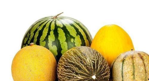 娱乐吃瓜作品有哪些类型,吃瓜群众的多元化娱乐作品类型大盘点